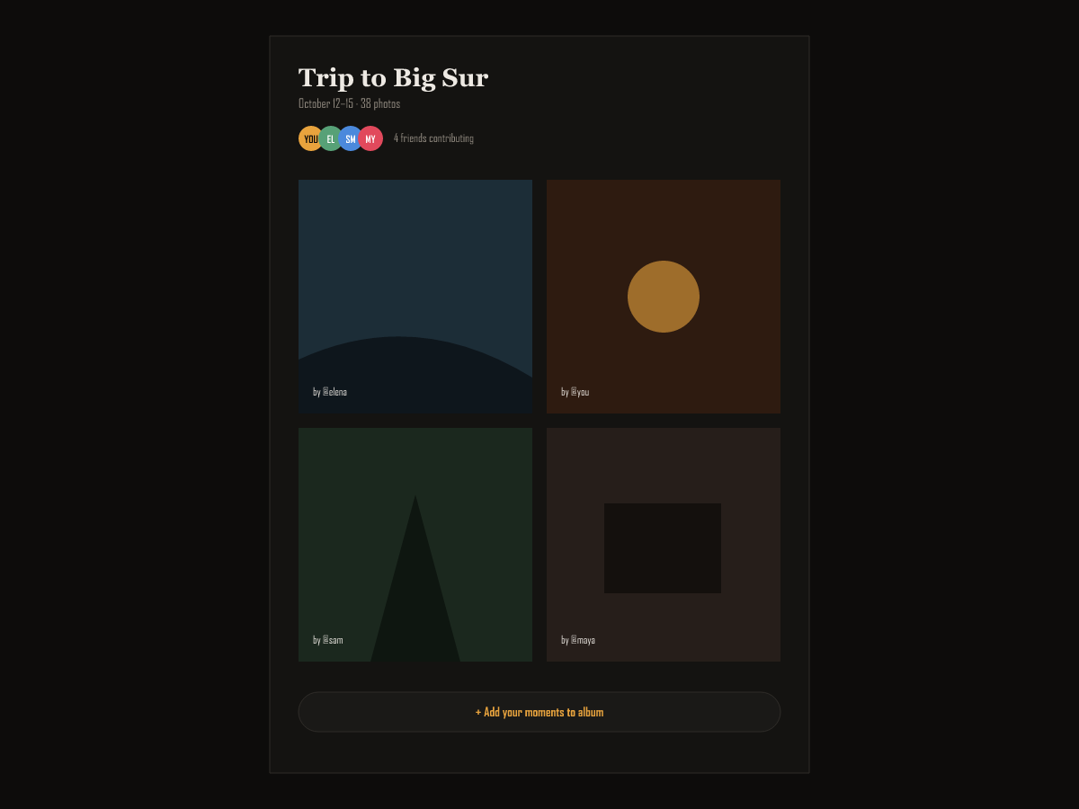 vevibe shared memory album with mutual friend contributors