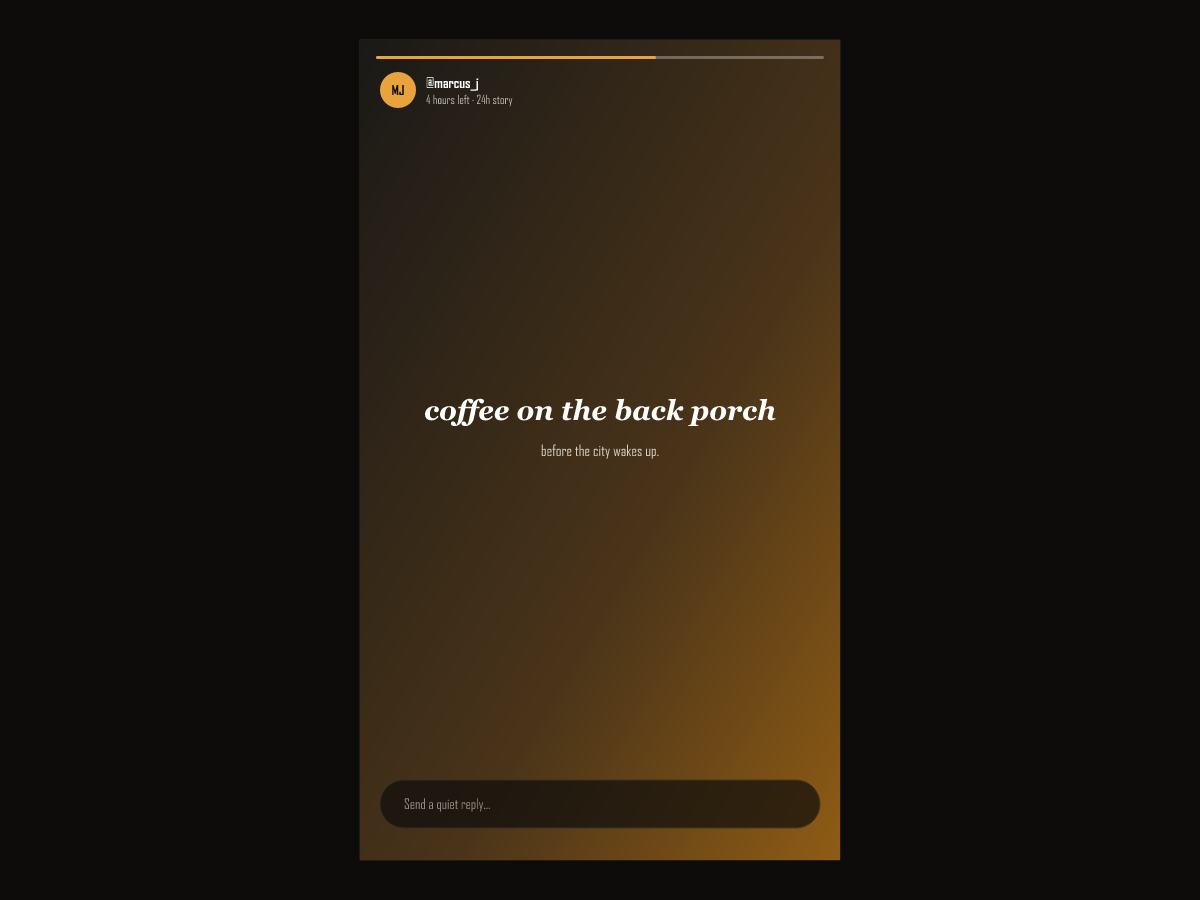 vevibe 24-hour ephemeral stories with quiet reply